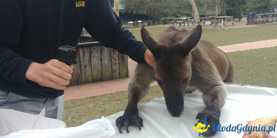 Uczniowie ZSJ w Australii