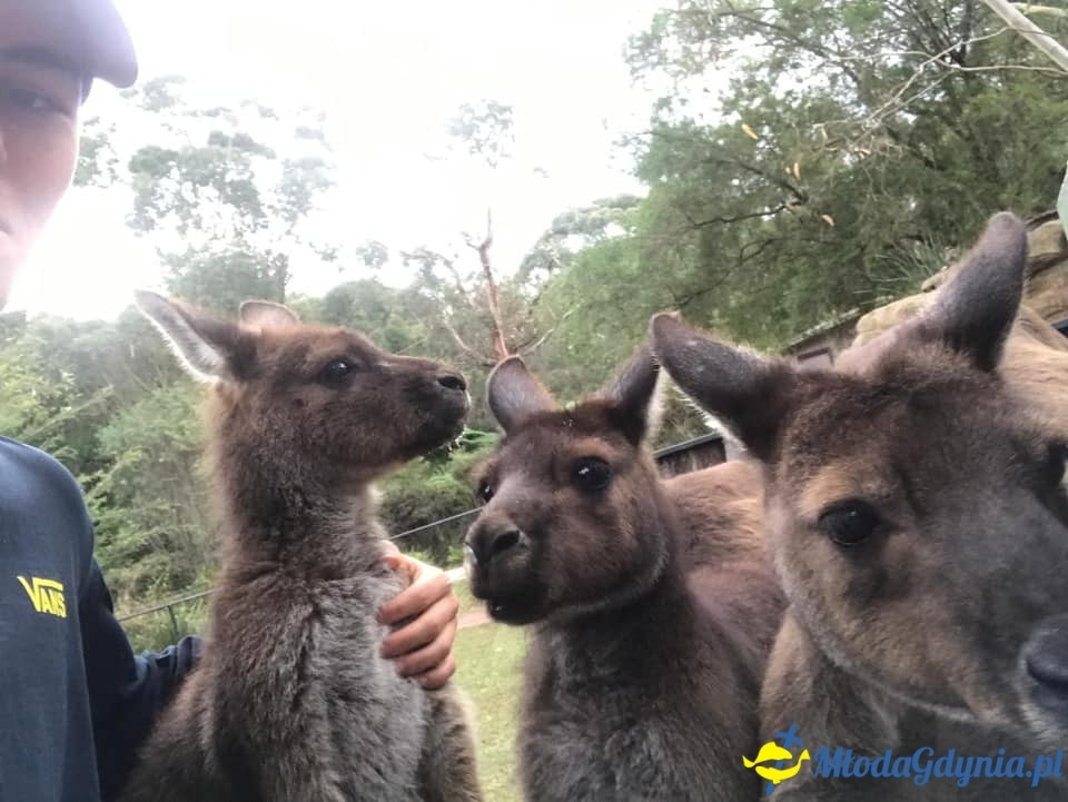 Uczniowie ZSJ w Australii