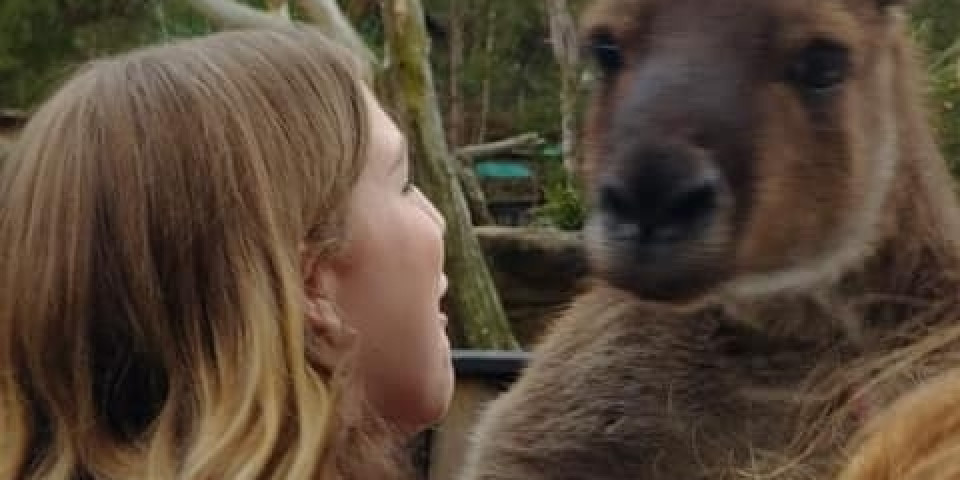 Uczniowie ZSJ w Australii