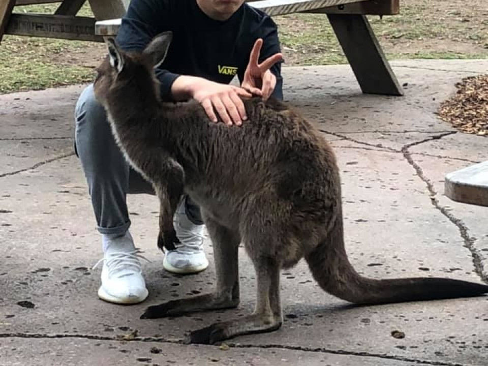 Uczniowie ZSJ w Australii