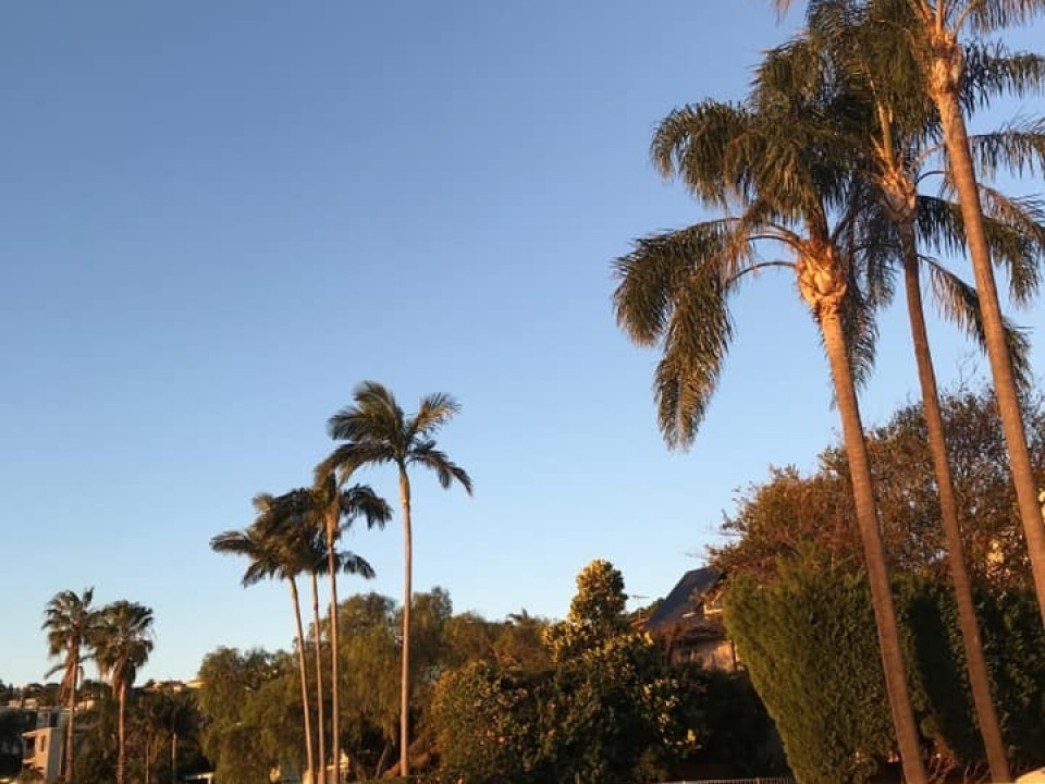 Uczniowie ZSJ w Australii