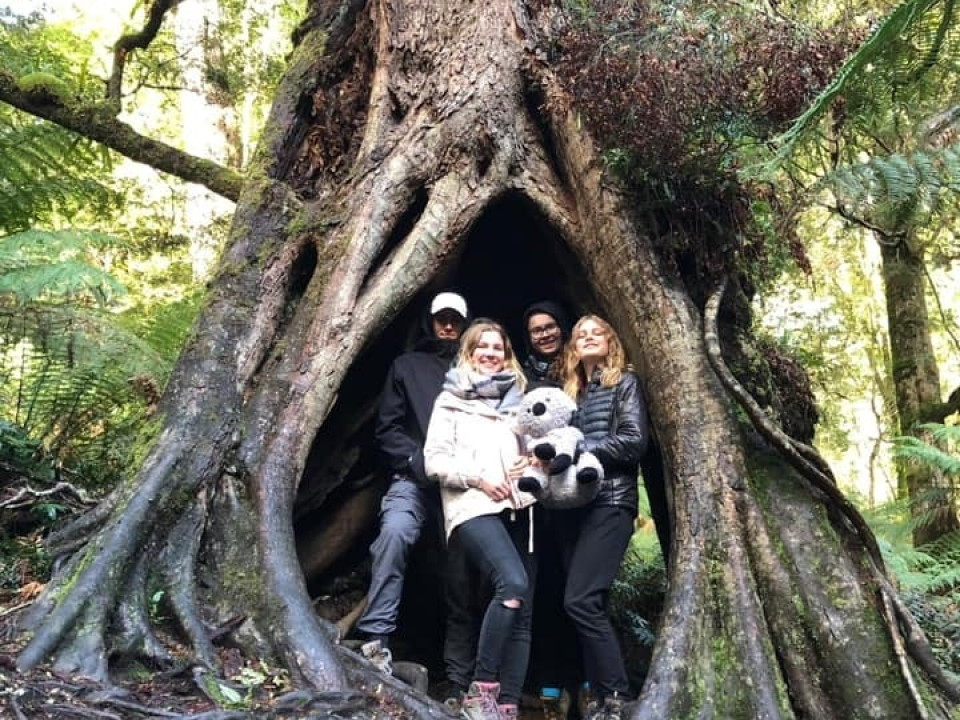 Uczniowie ZSJ w Australii