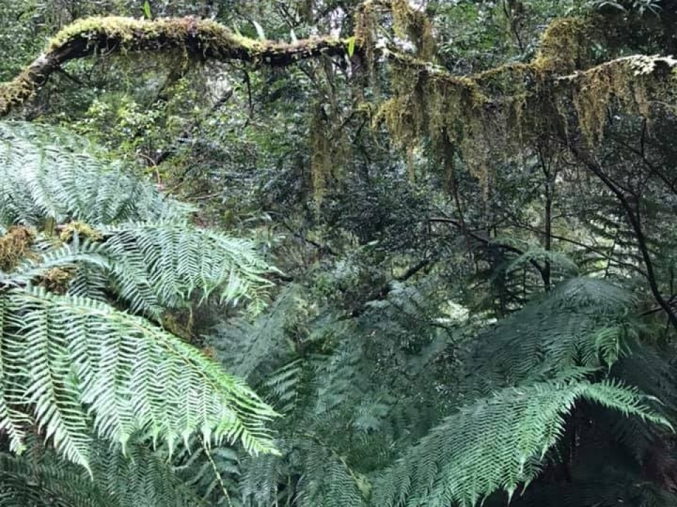 Uczniowie ZSJ w Australii