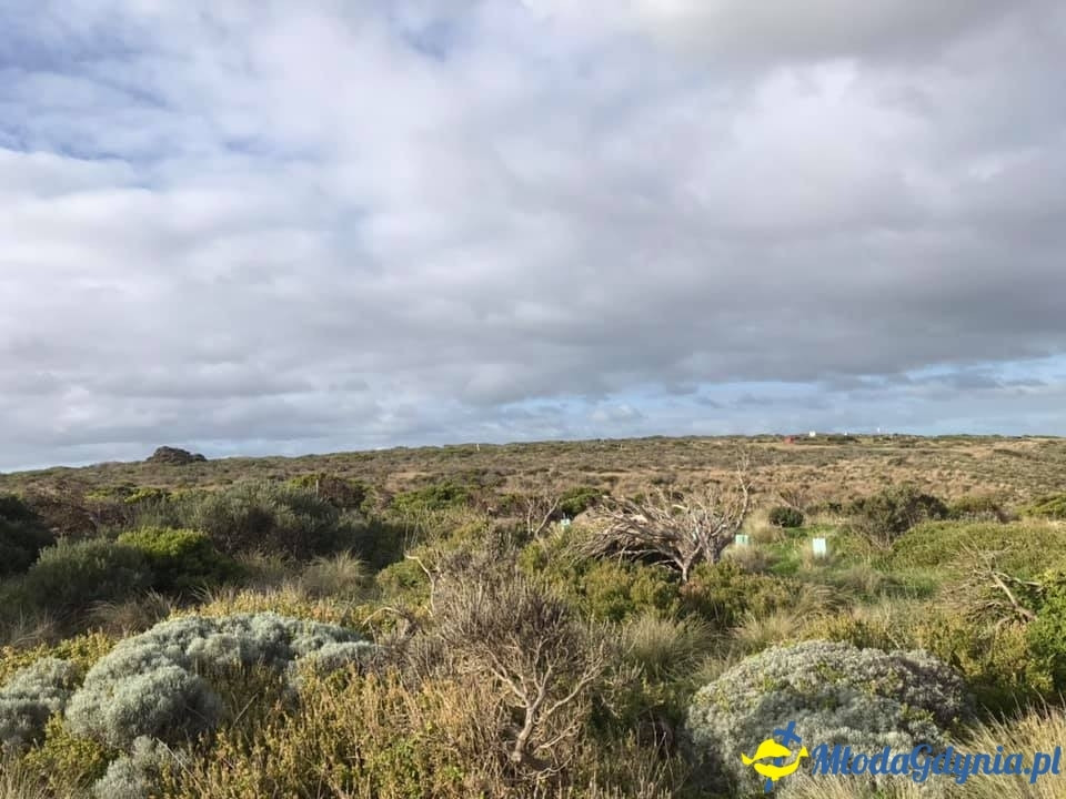 Uczniowie ZSJ w Australii