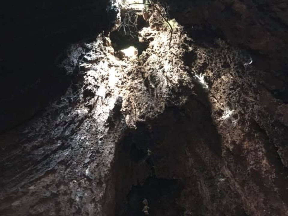 Uczniowie ZSJ w Australii