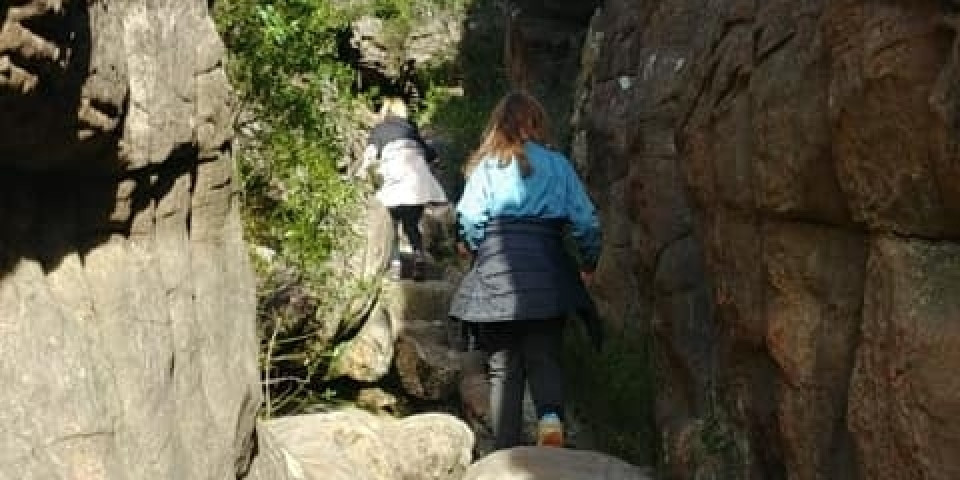 Uczniowie ZSJ w Australii