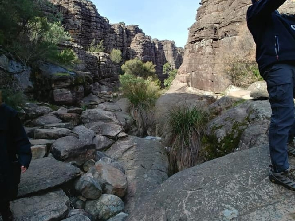 Uczniowie ZSJ w Australii