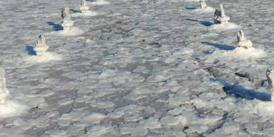 Uczniowie ZSJ w Australii