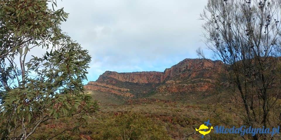 Uczniowie ZSJ w Australii