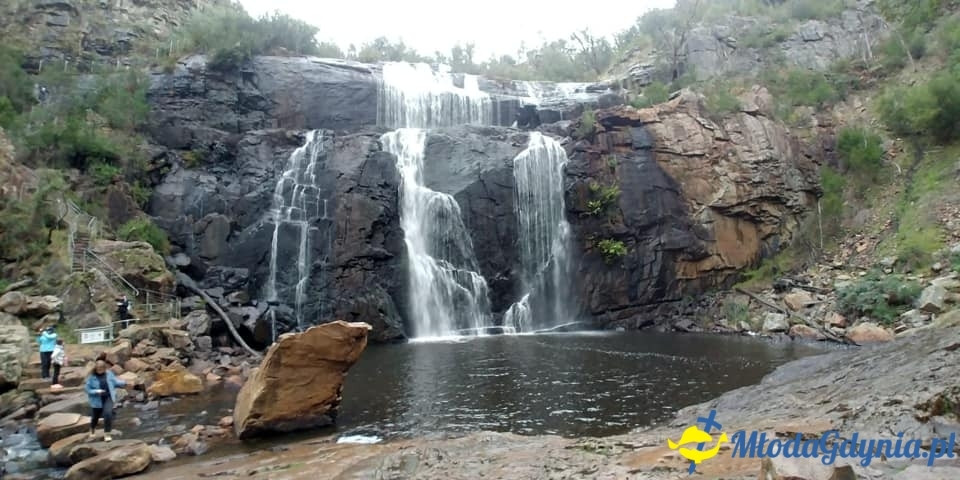 Uczniowie ZSJ w Australii