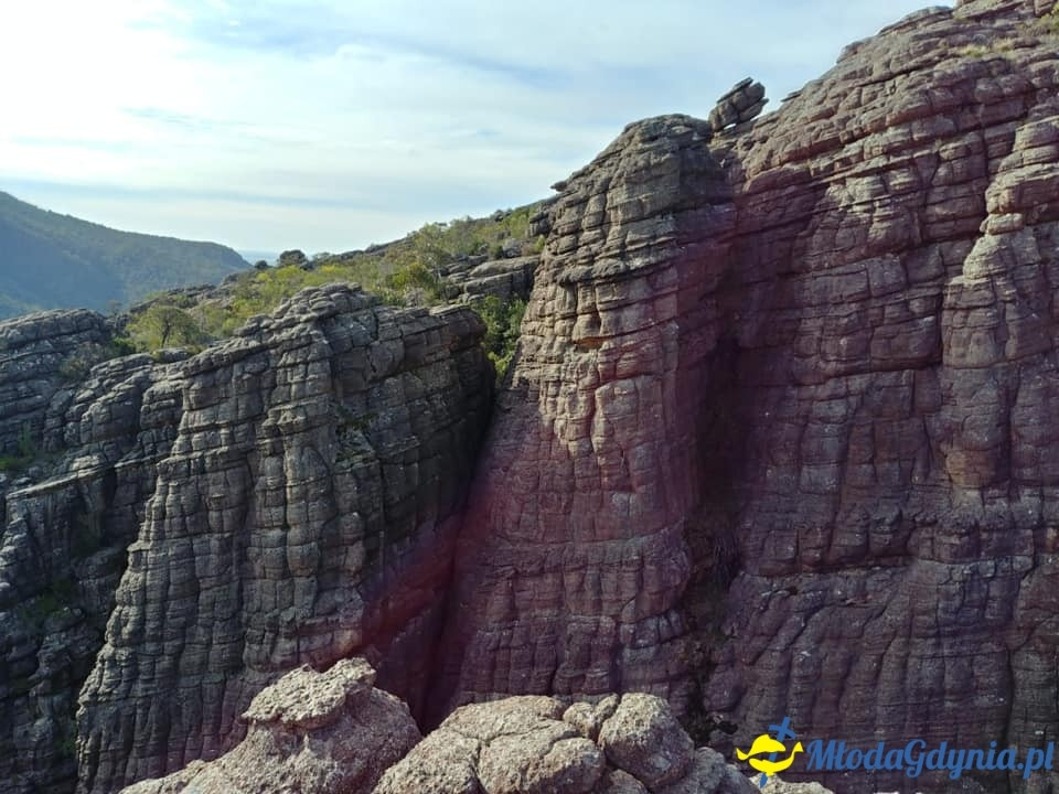 Uczniowie ZSJ w Australii