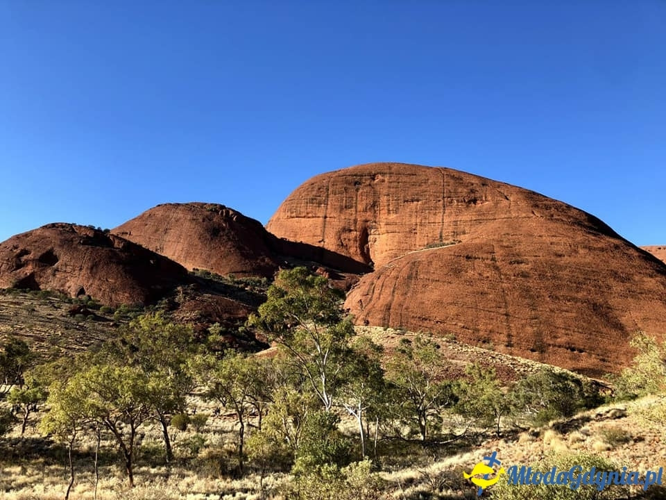 Uczniowie ZSJ w Australii