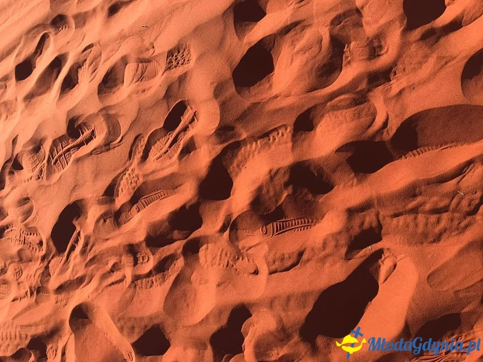 Uczniowie ZSJ w Australii