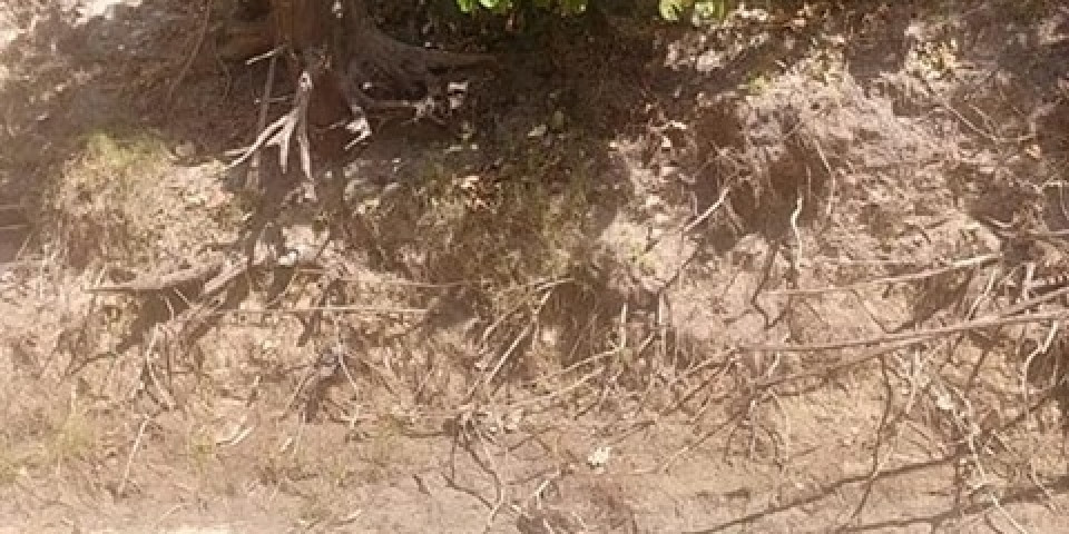 Uczniowie ZSJ w Australii