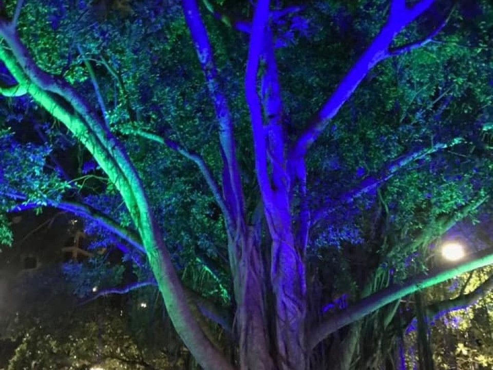 Uczniowie ZSJ w Australii