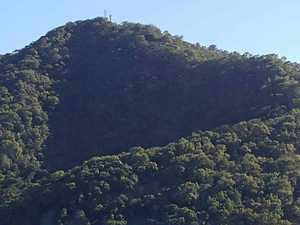 Uczniowie ZSJ w Australii