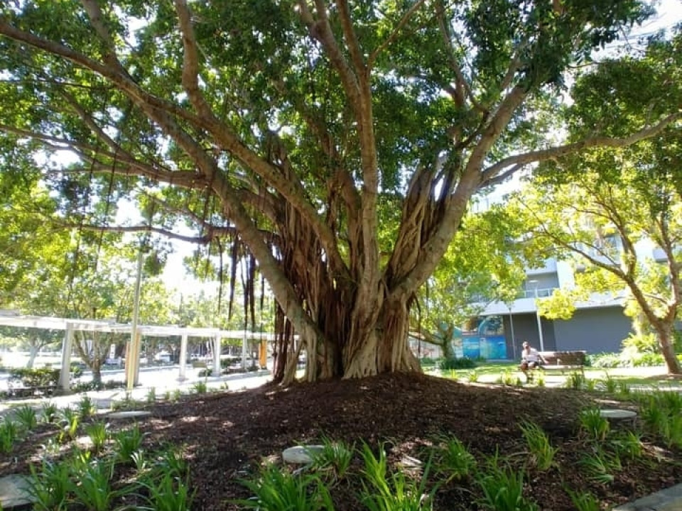 Uczniowie ZSJ w Australii