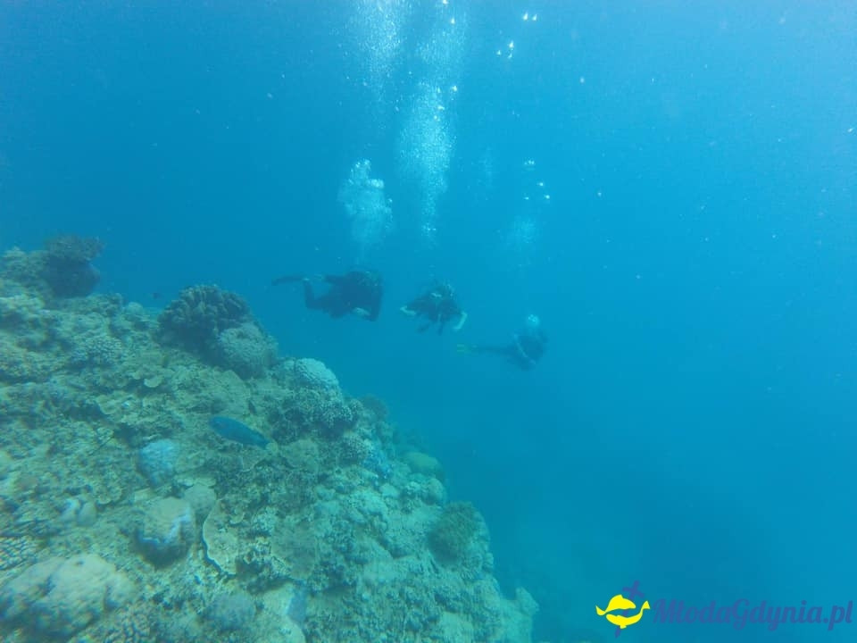 Uczniowie ZSJ w Australii