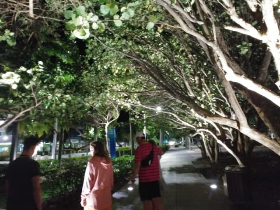 Uczniowie ZSJ w Australii