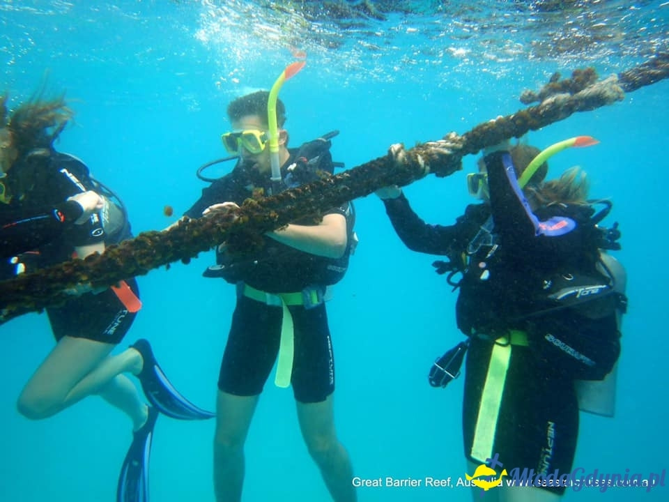 Uczniowie ZSJ w Australii