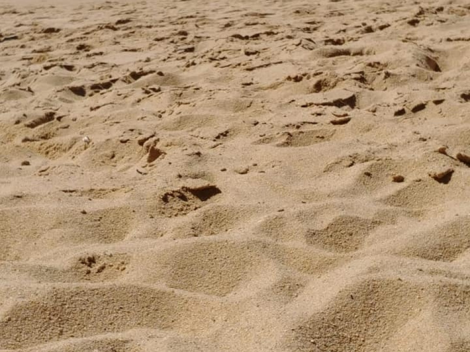 Uczniowie ZSJ w Australii