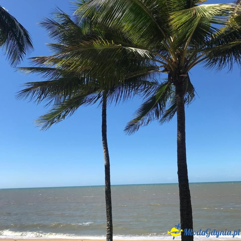 Uczniowie ZSJ w Australii