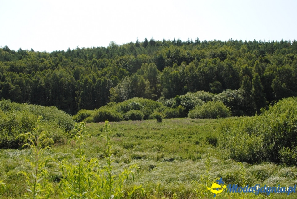 Rajd NW w kierunku Łysej Góry - KT Wybrzeże - 20.07.2019