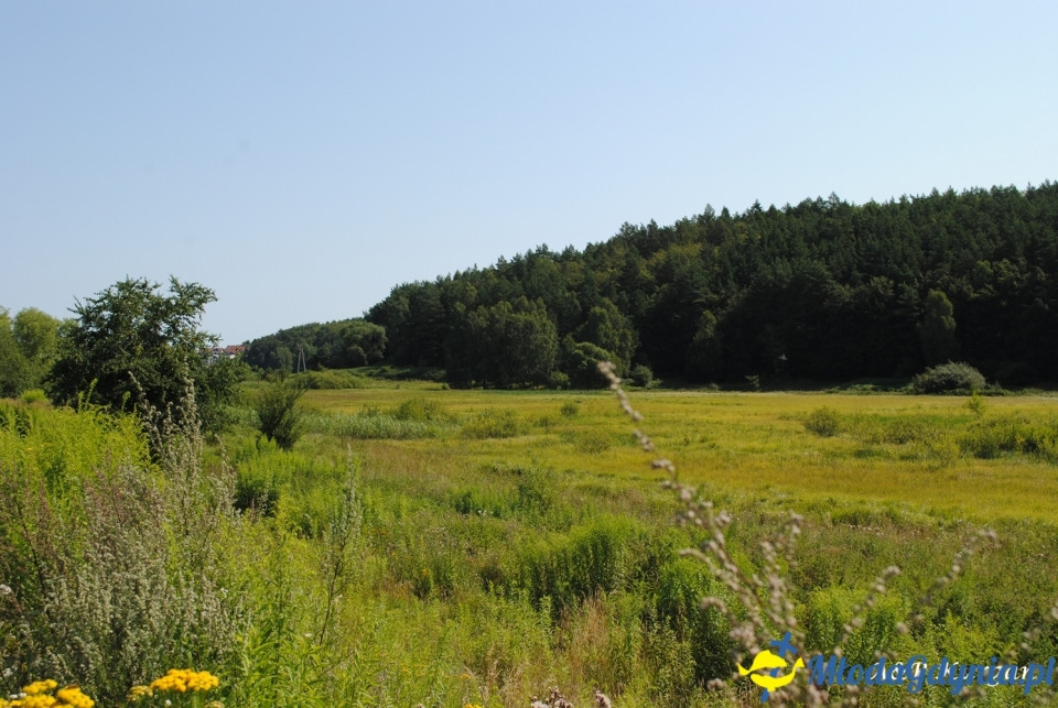 Rajd NW w kierunku Łysej Góry - KT Wybrzeże - 20.07.2019