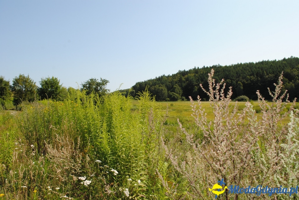 Rajd NW w kierunku Łysej Góry - KT Wybrzeże - 20.07.2019