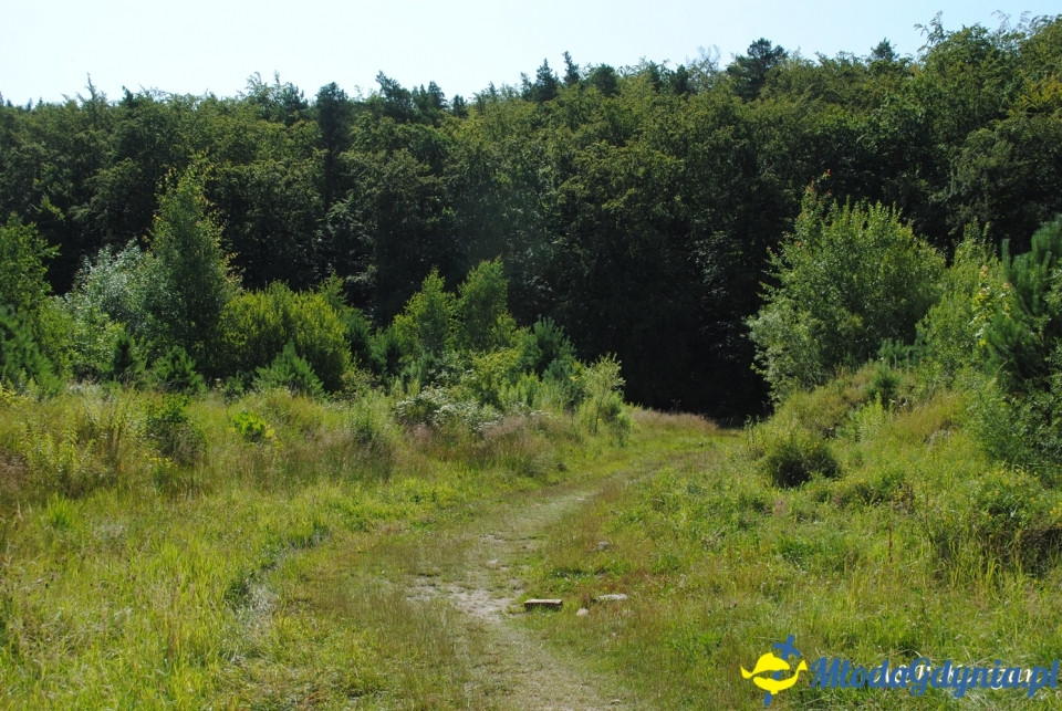 Rajd NW w kierunku Łysej Góry - KT Wybrzeże - 20.07.2019