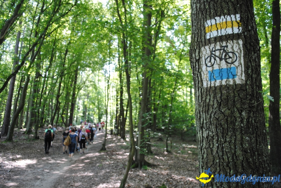 Rajd NW w kierunku Łysej Góry - KT Wybrzeże - 20.07.2019