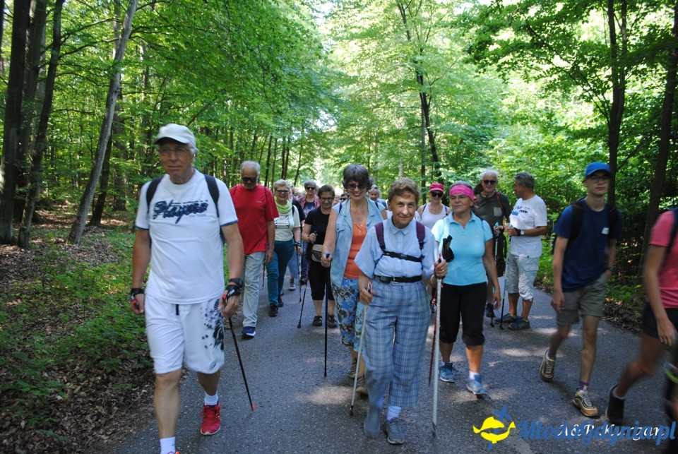 Rajd NW w kierunku Łysej Góry - KT Wybrzeże - 20.07.2019