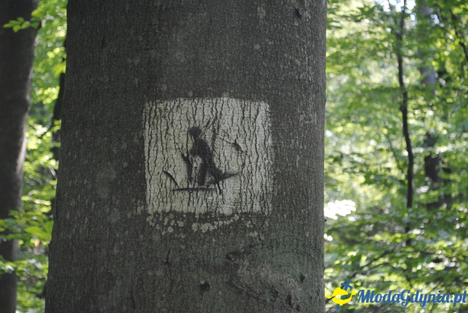 Rajd NW w kierunku Łysej Góry - KT Wybrzeże - 20.07.2019