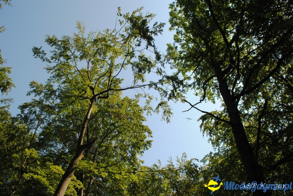 Rajd NW w kierunku Łysej Góry - KT Wybrzeże - 20.07.2019