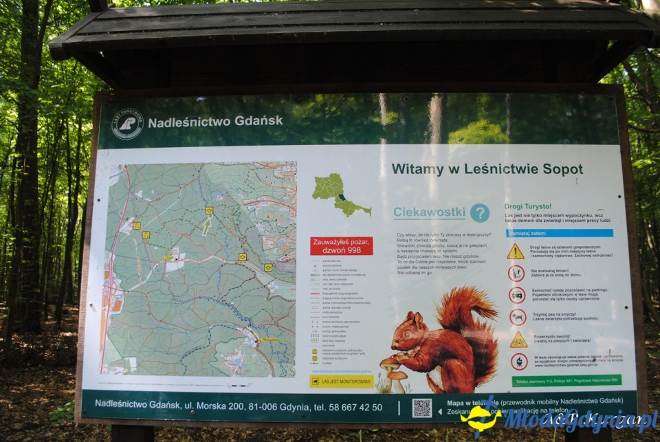 Rajd NW w kierunku Łysej Góry - KT Wybrzeże - 20.07.2019