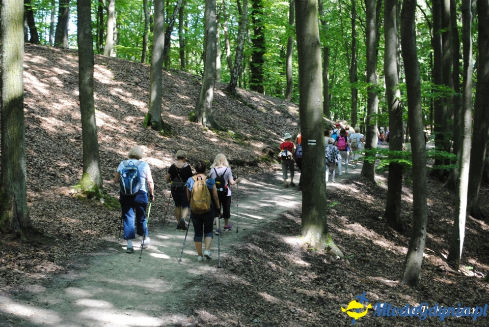 Rajd NW w kierunku Łysej Góry - KT Wybrzeże - 20.07.2019