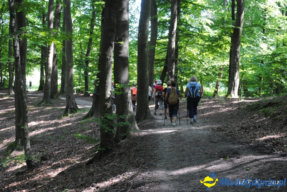 Rajd NW w kierunku Łysej Góry - KT Wybrzeże - 20.07.2019