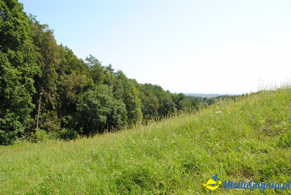 Rajd NW w kierunku Łysej Góry - KT Wybrzeże - 20.07.2019