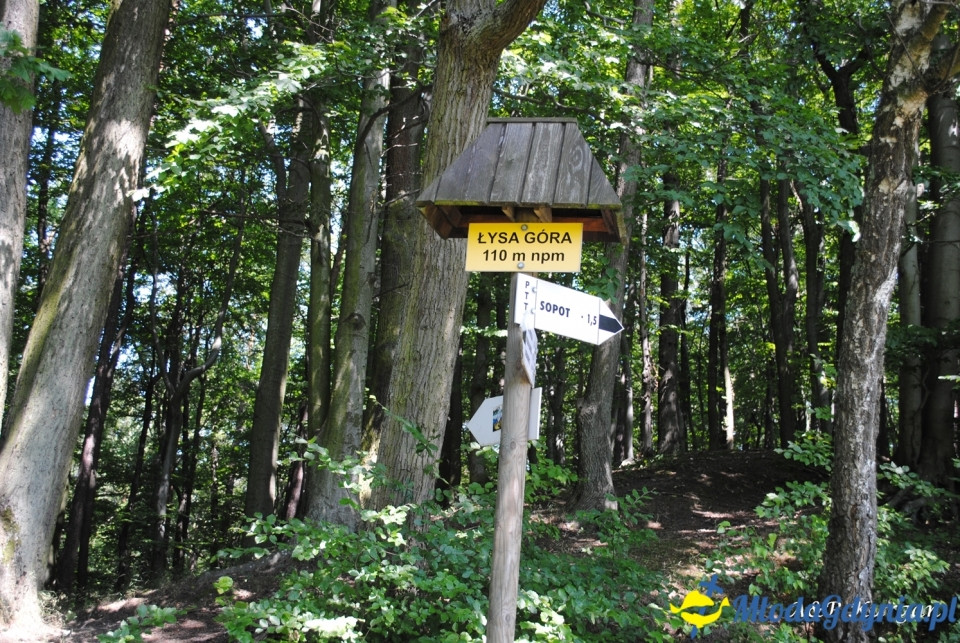 Rajd NW w kierunku Łysej Góry - KT Wybrzeże - 20.07.2019