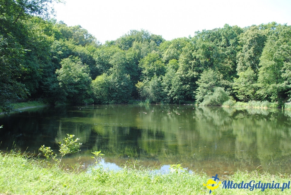 Rajd NW w kierunku Łysej Góry - KT Wybrzeże - 20.07.2019