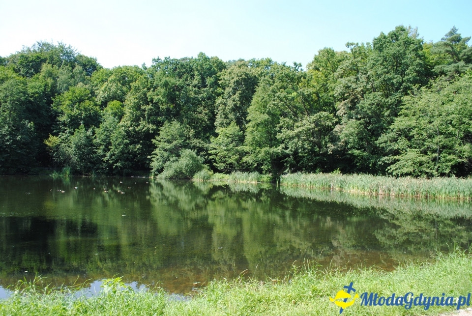 Rajd NW w kierunku Łysej Góry - KT Wybrzeże - 20.07.2019