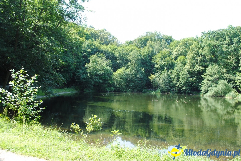 Rajd NW w kierunku Łysej Góry - KT Wybrzeże - 20.07.2019