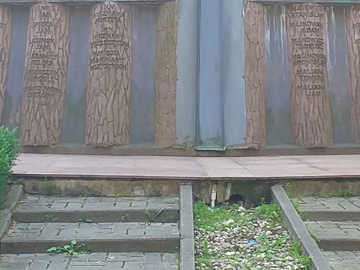 Piaśnica - to tu Niemcy mordowali Polaków