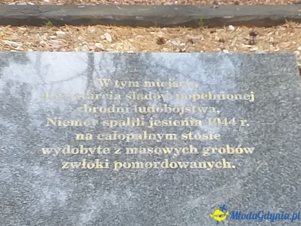Piaśnica - to tu Niemcy mordowali Polaków