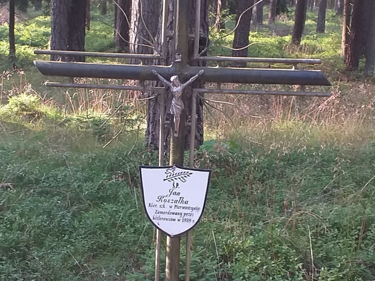 Piaśnica - to tu Niemcy mordowali Polaków