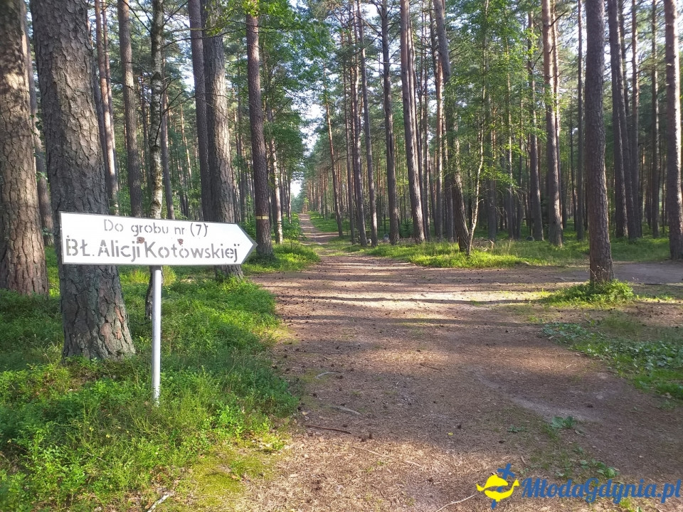 Piaśnica - to tu Niemcy mordowali Polaków