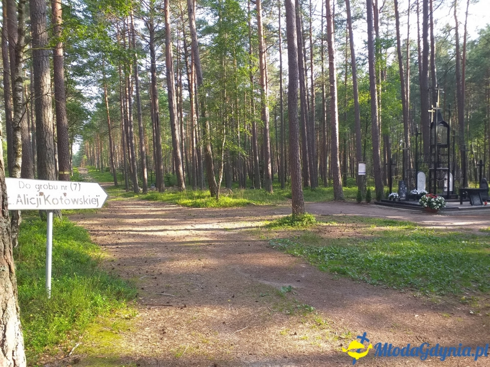 Piaśnica - to tu Niemcy mordowali Polaków
