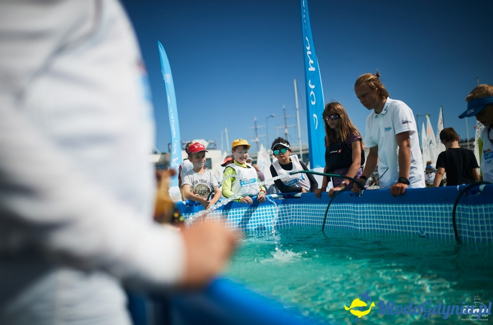 Kinder+Sport - Puchar Trenerow