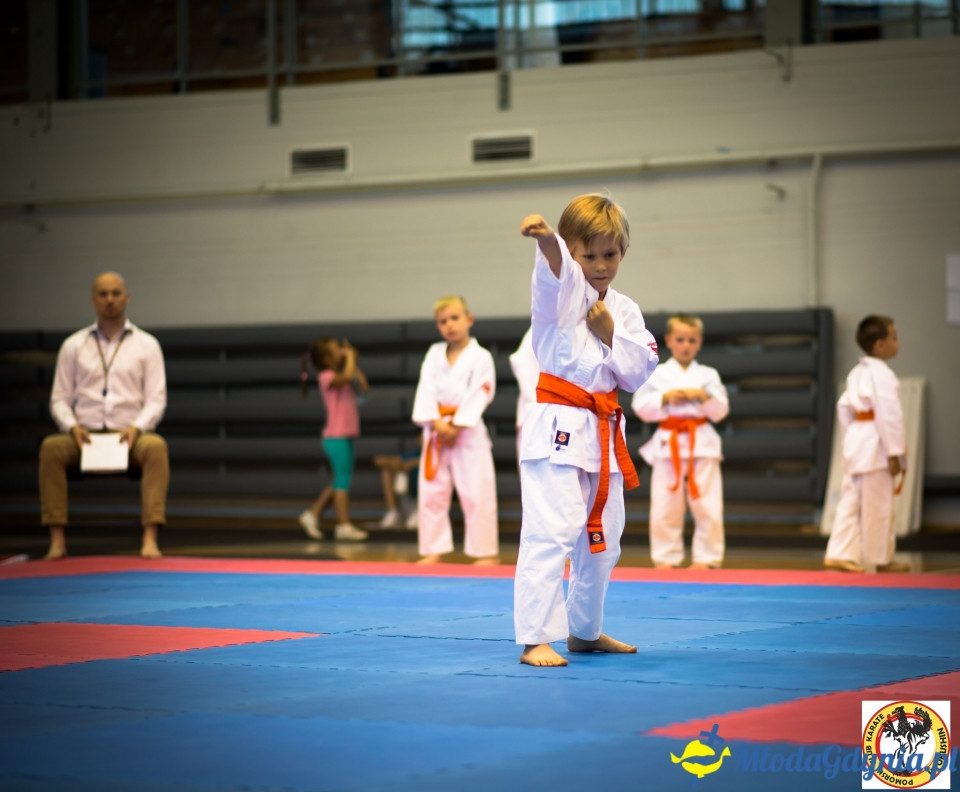II Mistrzostwa Pomorskiego Klubu Karate KYOKUSHIN