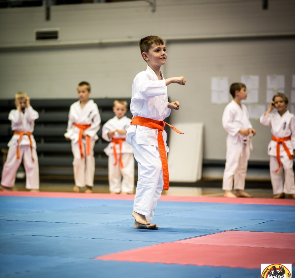 II Mistrzostwa Pomorskiego Klubu Karate KYOKUSHIN